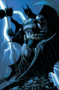 Absolute Batman: The Covers HC (Pre-Order)