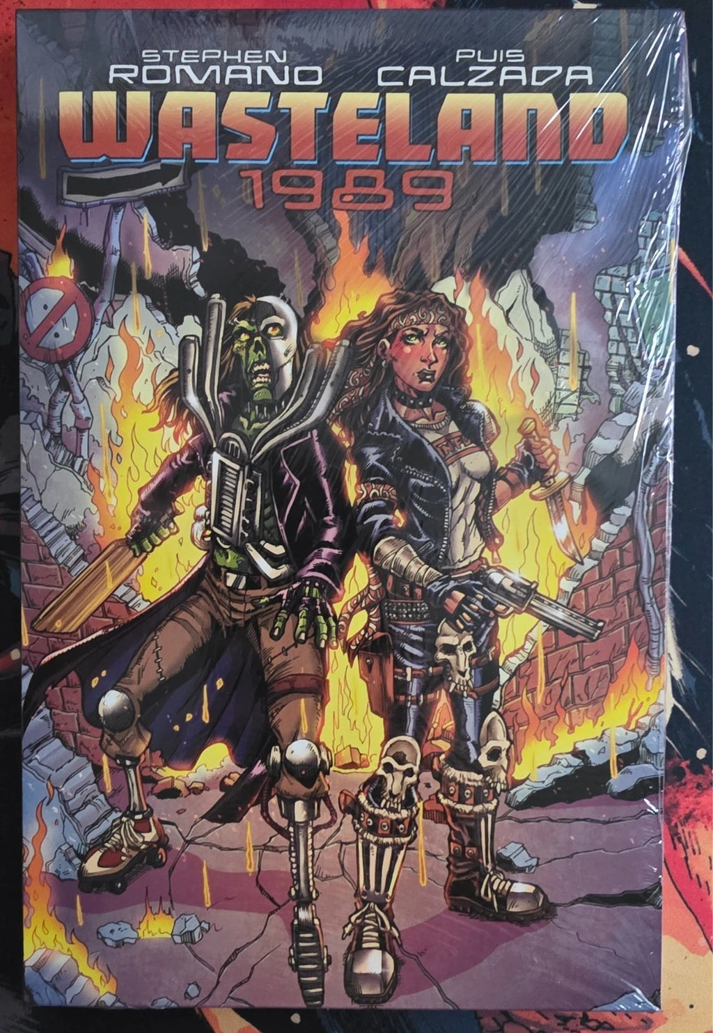 Wasteland 1989